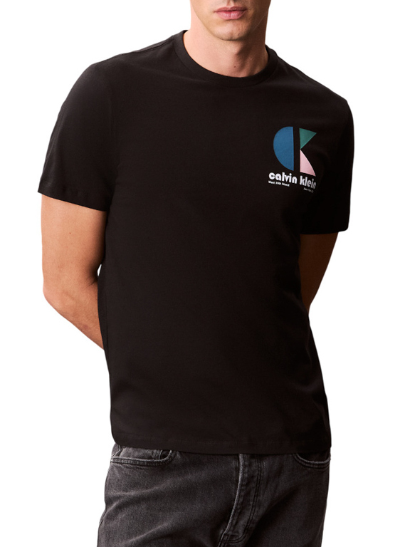 Ανδρικό T-shirt Μαύρο Calvin Klein LV04RC843G-UB1