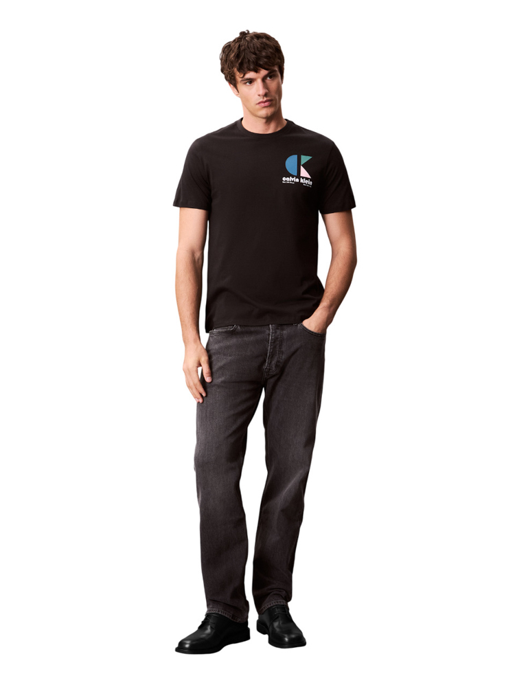 Ανδρικό T-shirt Μαύρο Calvin Klein LV04RC843G-UB1