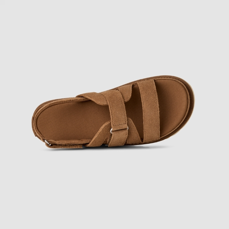 Γυναικεία Goldenstar Gleam Σανδάλια Ταμπά UGG 1175122-CHE