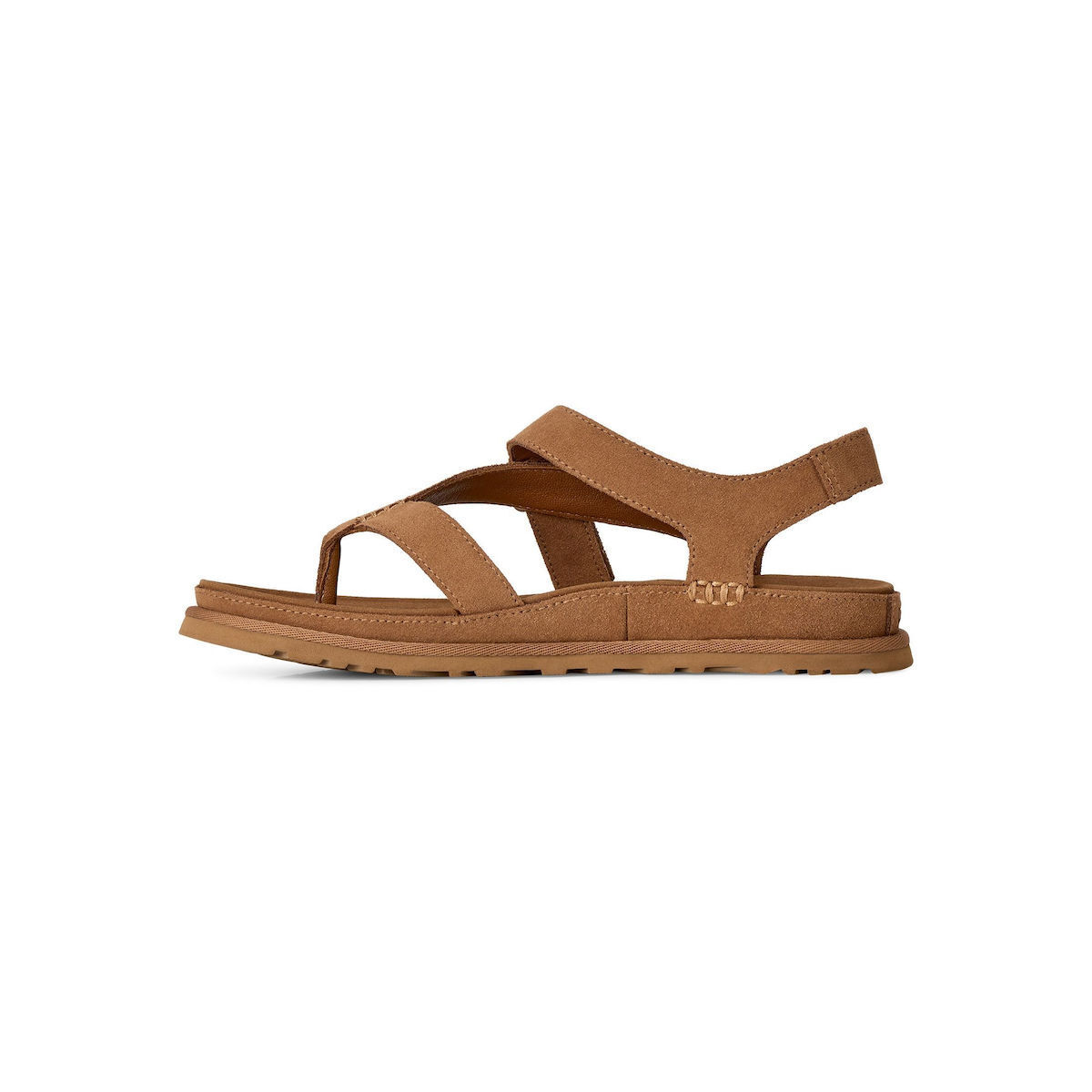 Γυναικεία GoldenGaze Toe Post Σανδάλια Ταμπά UGG 1175134-CHE