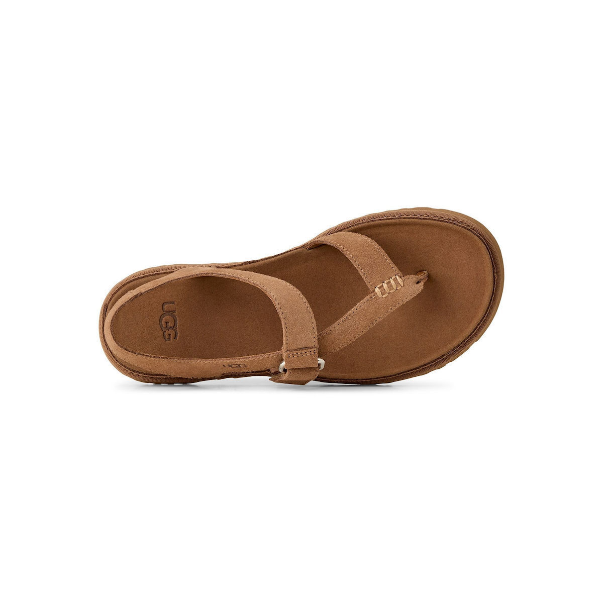 Γυναικεία GoldenGaze Toe Post Σανδάλια Ταμπά UGG 1175134-CHE