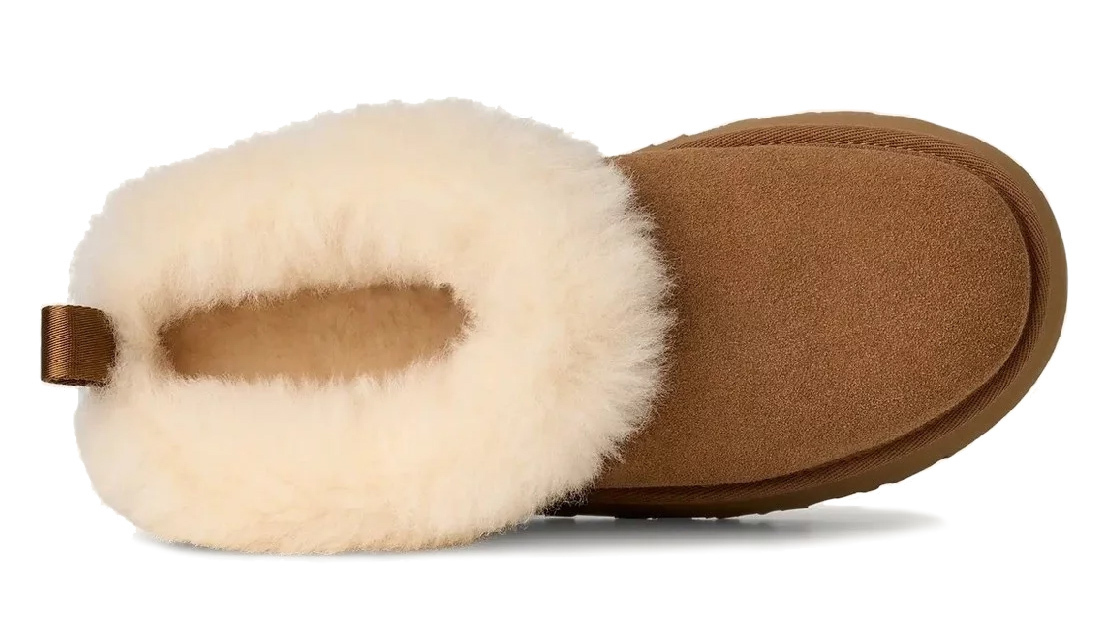 Γυναικείες Tazzelle Παντόφλες Ταμπά UGG 1171393-CHE