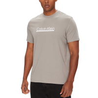 Ανδρικό T-shirt Γκρι Calvin Klein LV04RC852G-PFP