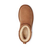 Γυναικεία Classic Mini II Μποτάκια Ταμπά UGG 1016222-CHE