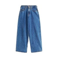 Γυναικείο Charlie Τζιν Μπλε Tommy Jeans DW0DW20063-1A5