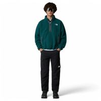 Ανδρικό Exploration Cargo Παντελόνι Μαύρο The North Face NF0A8BGF-JK31