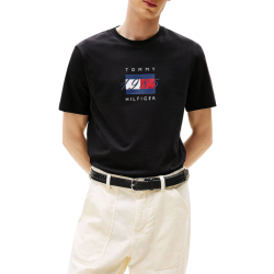 Ανδρικό T-shirt Μαύρο Tommy Hilfiger MW0MW41338-BDS