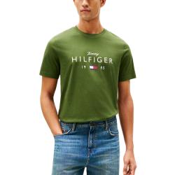 Ανδρικό T-shirt Πράσινο Tommy Hilfiger MW0MW41455-L01