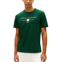 Ανδρικό T-shirt Πράσινο Tommy Hilfiger MW0MW42365-MBN