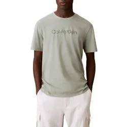 Ανδρικό T-shirt Φυστικί Calvin Klein LV04LF809G-PEZ