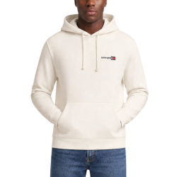 Ανδρικό Φούτερ Εκρού Tommy Jeans DM0DM23393-YBH