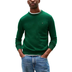 Ανδρικό Πουλόβερ Πράσινο Tommy Hilfiger MW0MW28046-MQ8
