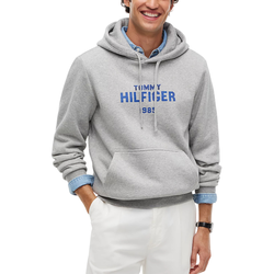 Ανδρικό Φούτερ Γκρι Tommy Hilfiger MW0MW44937-P01