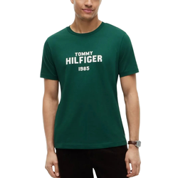Ανδρικό T-shirt Πράσινο Tommy Hilfiger MW0MW44877-L6K