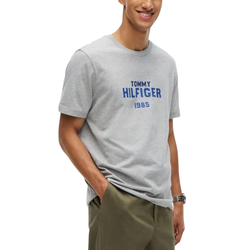 Ανδρικό T-shirt Γκρι Tommy Hilfiger MW0MW44877-P01