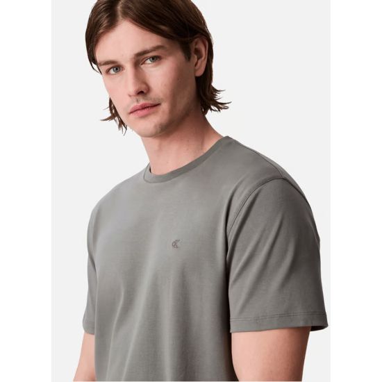 Ανδρικό T-shirt Γκρι Calvin Klein LV04LB275G-RMG