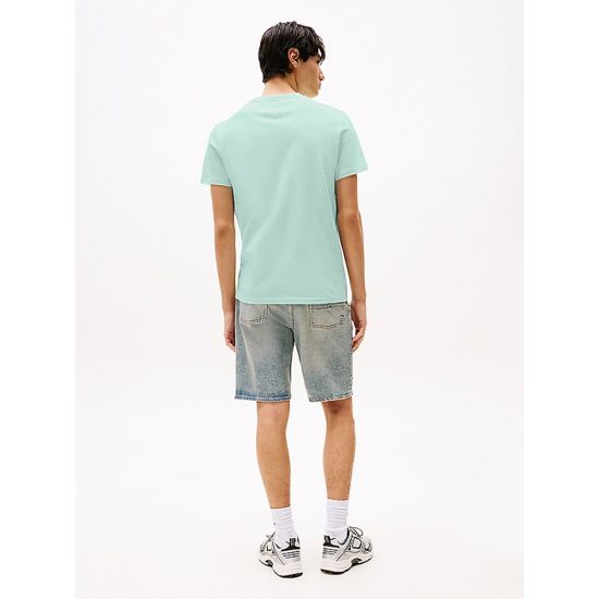 Ανδρικό T-shirt Μέντα Tommy Jeans DM0DM21188-L6V