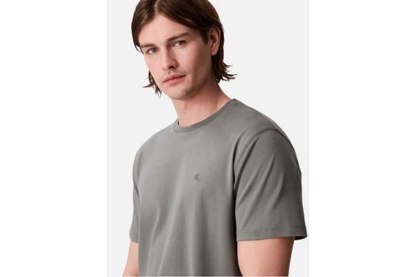 Ανδρικό T-shirt Γκρι Calvin Klein LV04LB275G-RMG