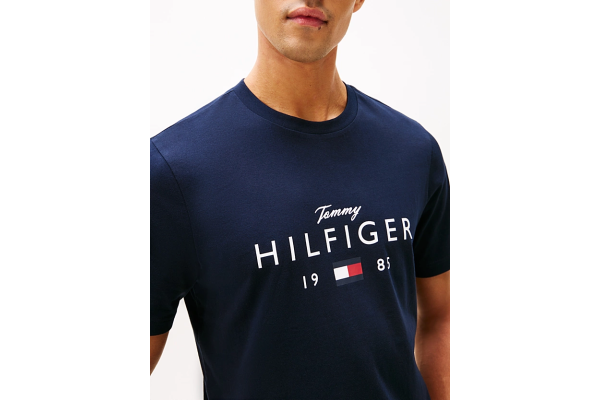 Ανδρικό T-shirt Navy Μπλε Tommy Hilfiger MW0MW41455-DW5