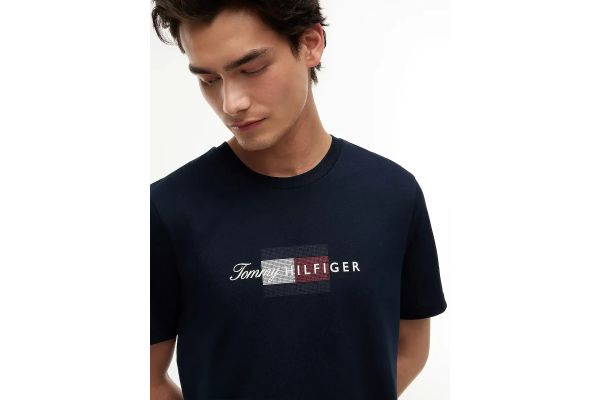 Ανδρικό T-shirt Navy Μπλε Tommy Hilfiger MW0MW43226-DW5
