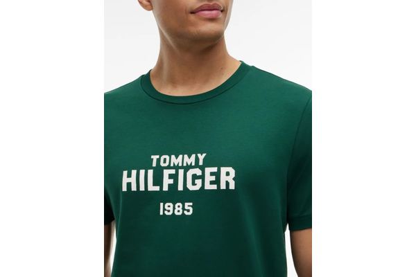 Ανδρικό T-shirt Πράσινο Tommy Hilfiger MW0MW44877-L6K
