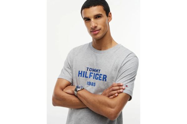 Ανδρικό T-shirt Γκρι Tommy Hilfiger MW0MW44877-P01