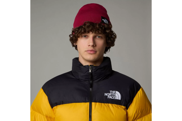 Unisex Dock Worker Σκουφάκι Μπορντό The North Face NF0A3FNT-1IX1